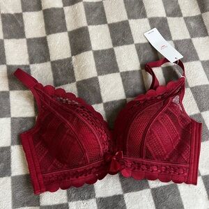 Lace dark wine red padded structured push-up bra 30A